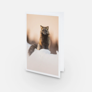 Crossed fox - Greeting card