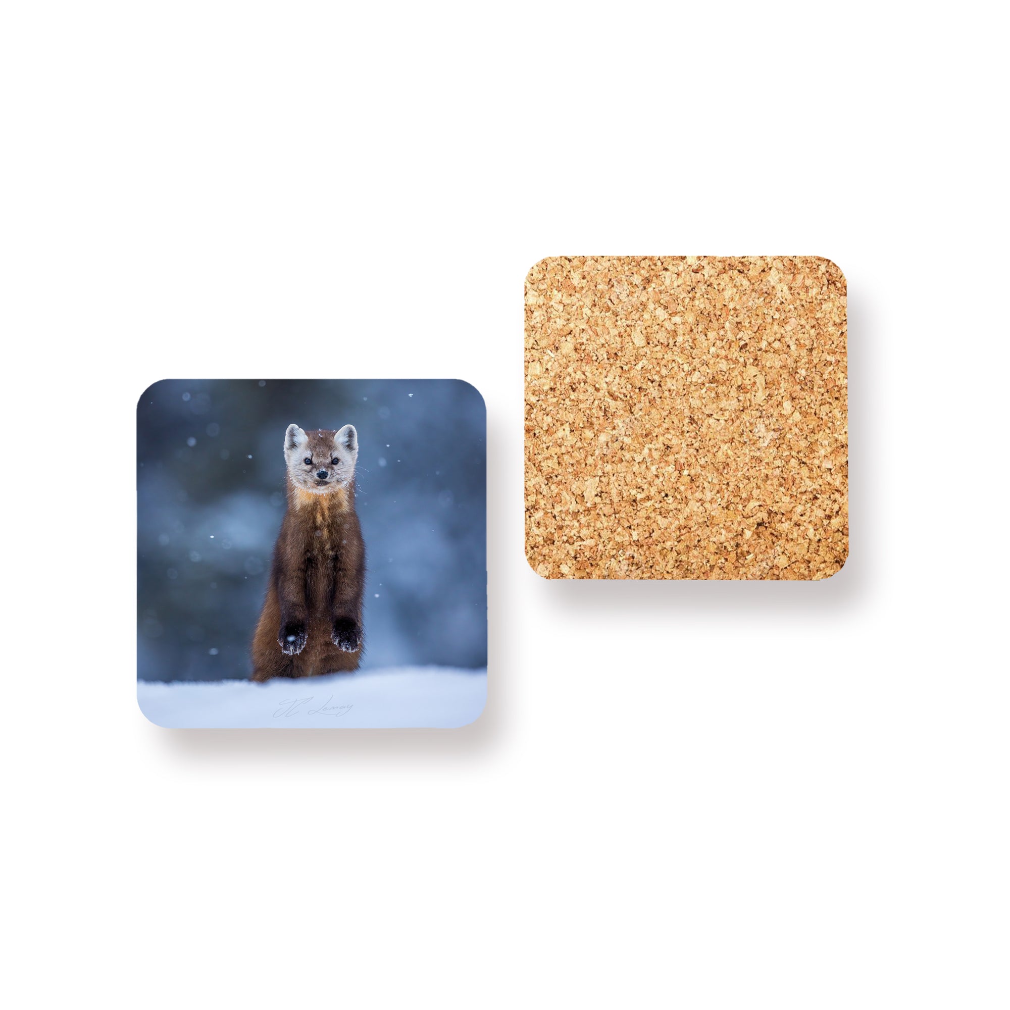 Coasters (set of 4) - Taïga