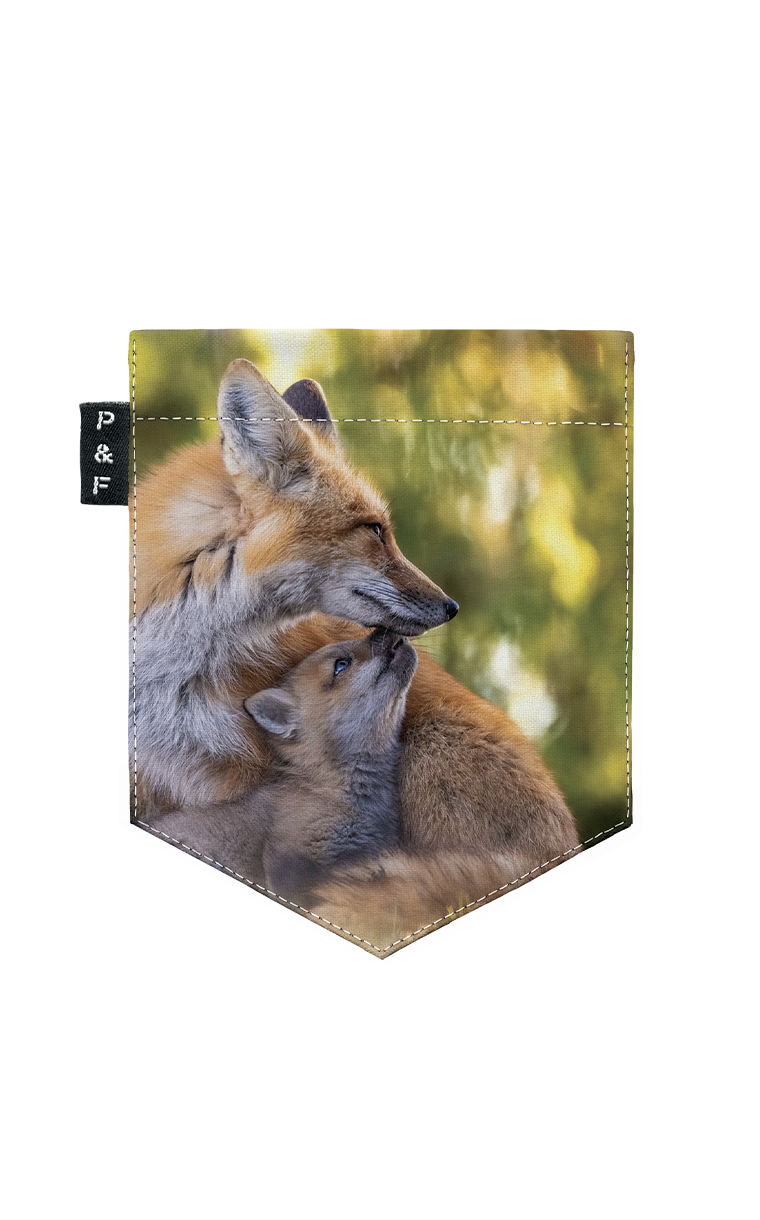 T-Shirt col en V semi-ajusté - Doux comme un regard