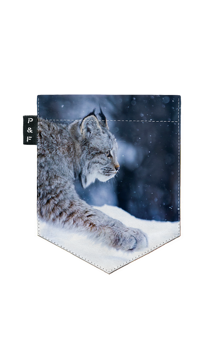 T-Shirt à manches longues (unisexe) - Star Lynx