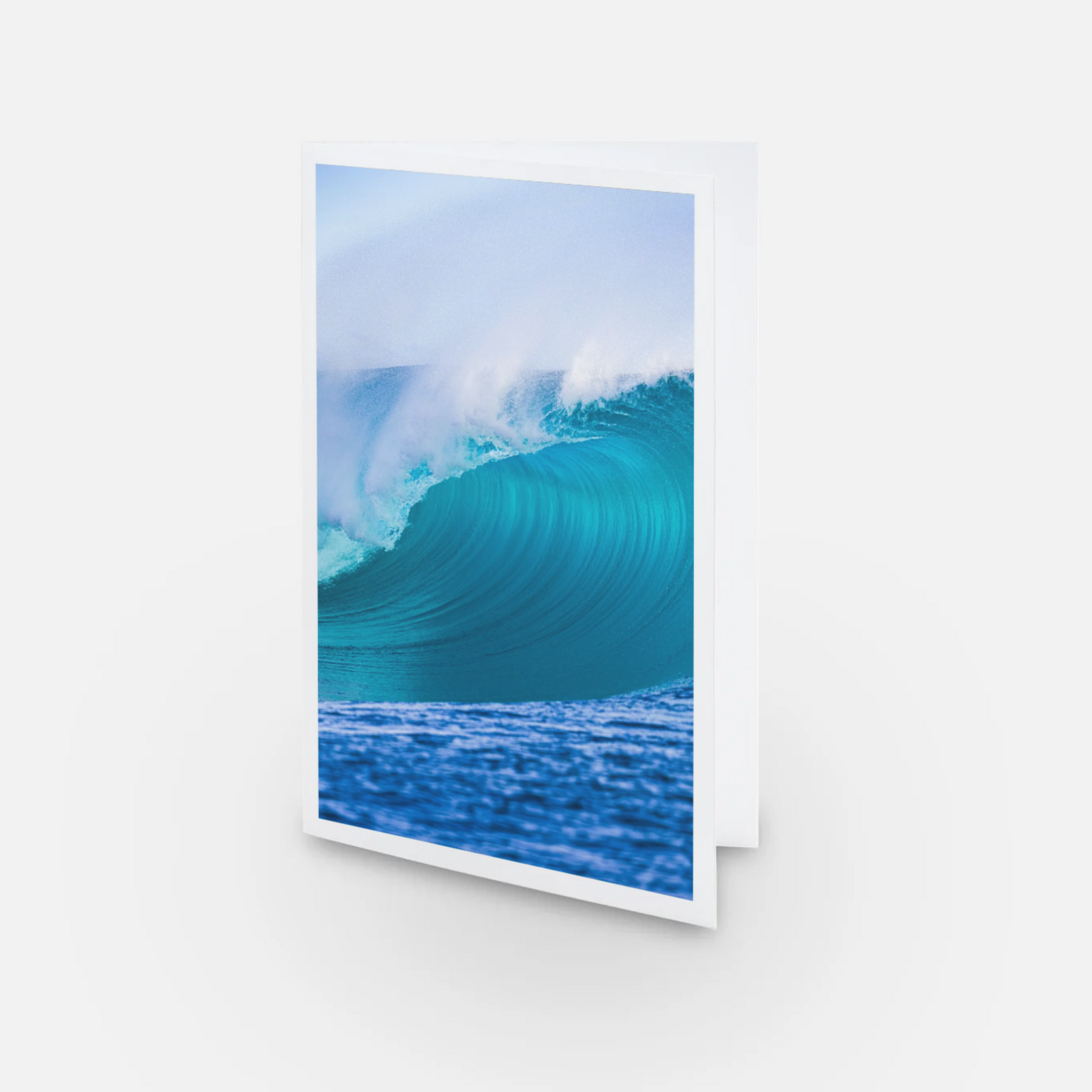 Moonset ducks - Greeting card