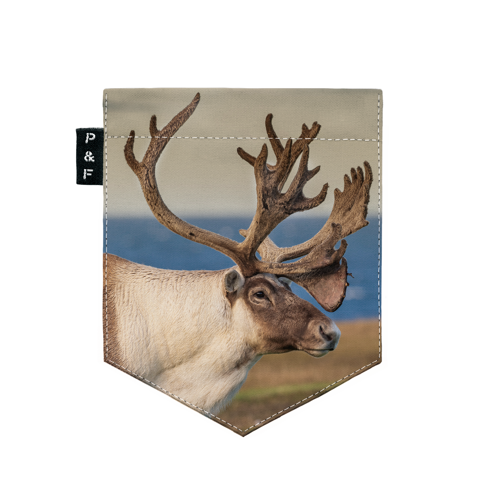 T-Shirt (8-12 ans) - Trente sous