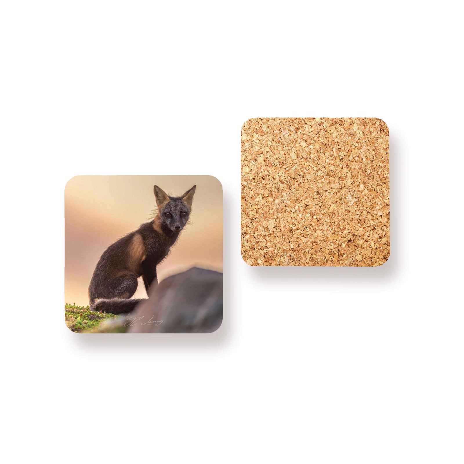 Ensemble de sous-verres (4) - Renards croisés