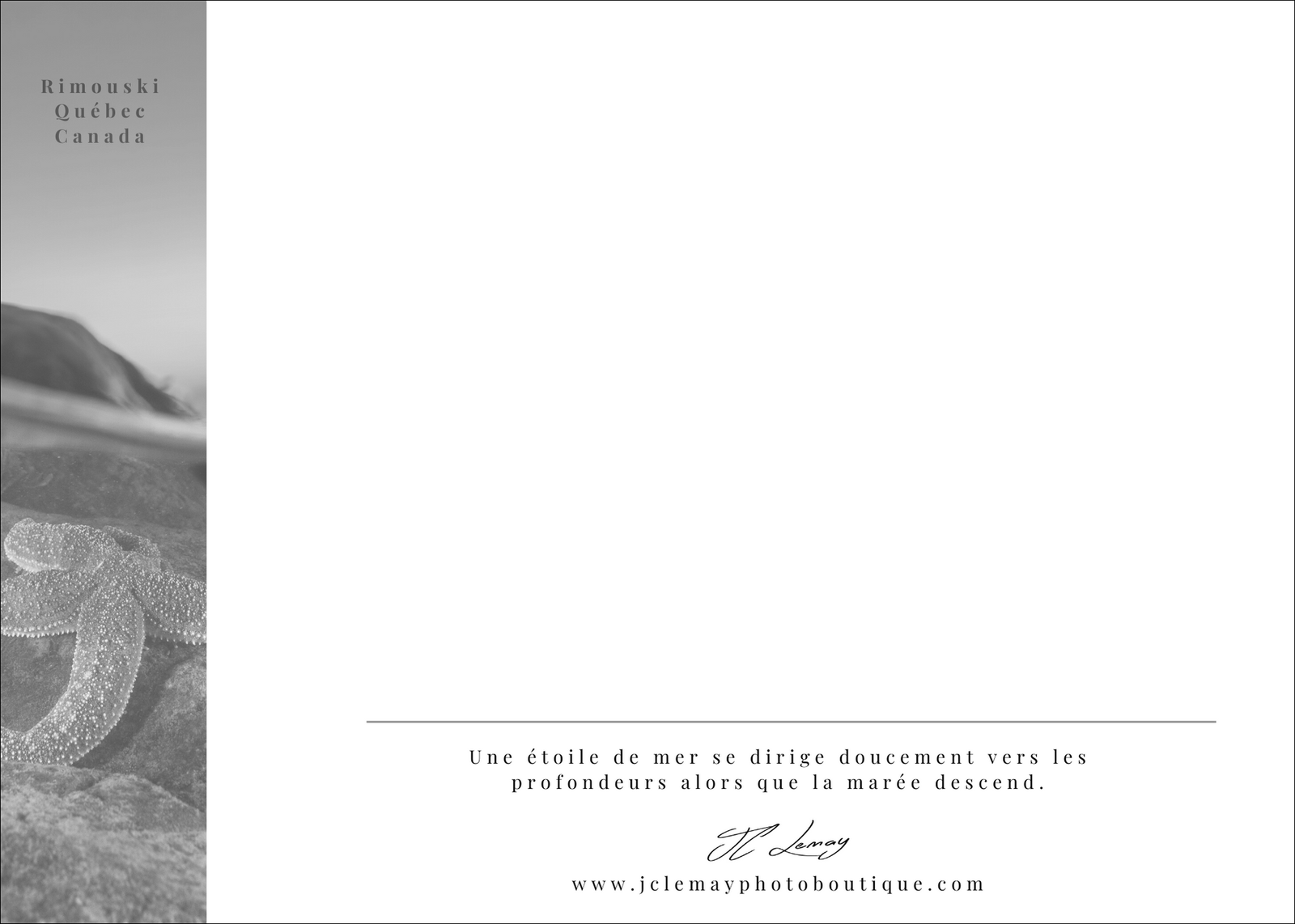 Sunset star - carte postale