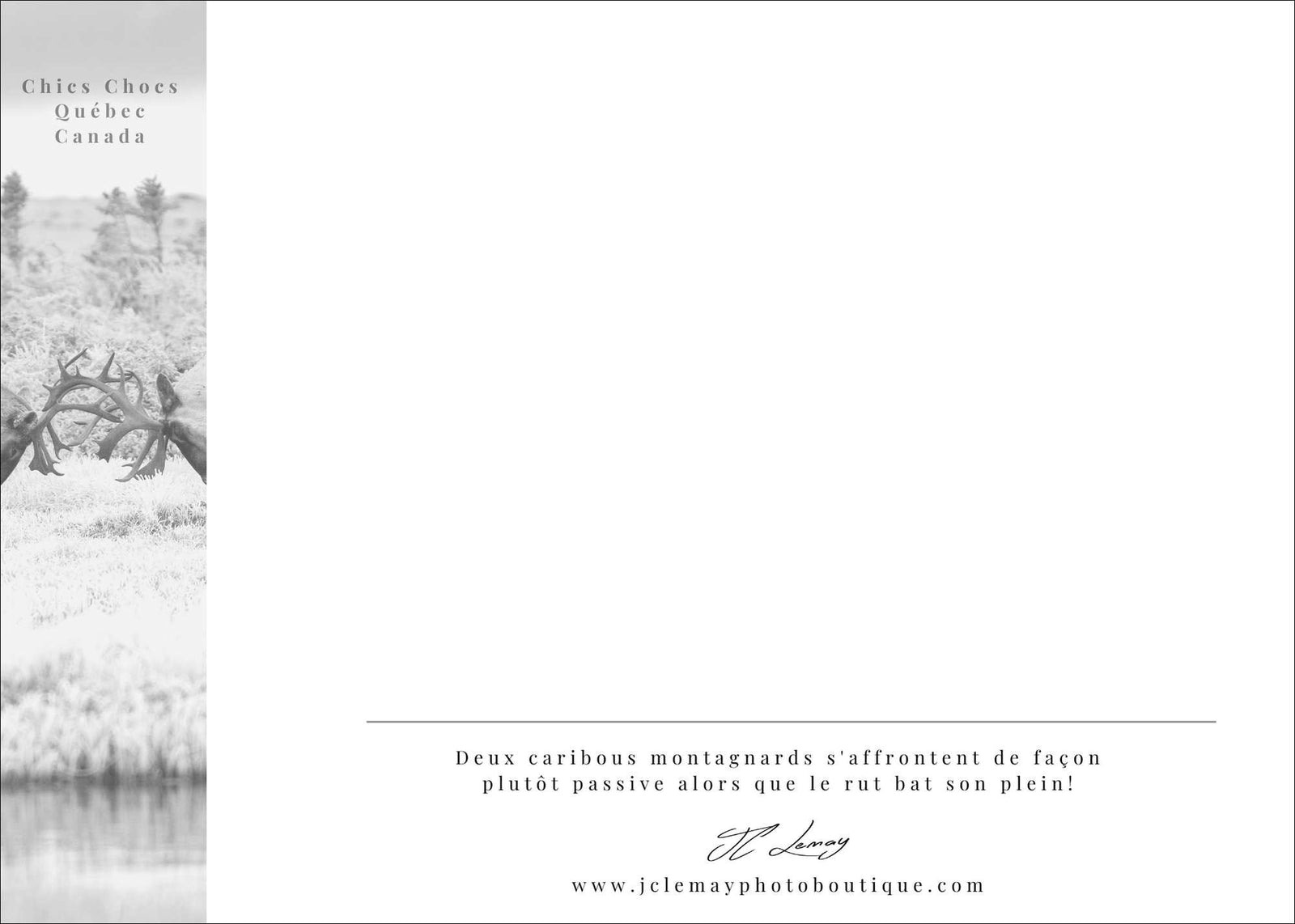 Altercation - carte postale