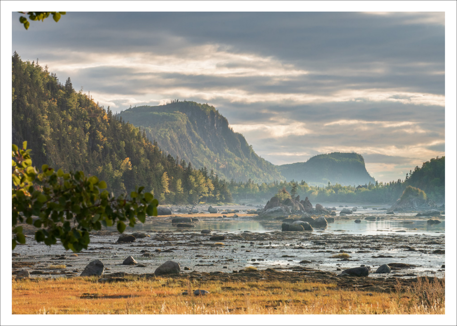 Pointe-aux-Épinettes - carte postale