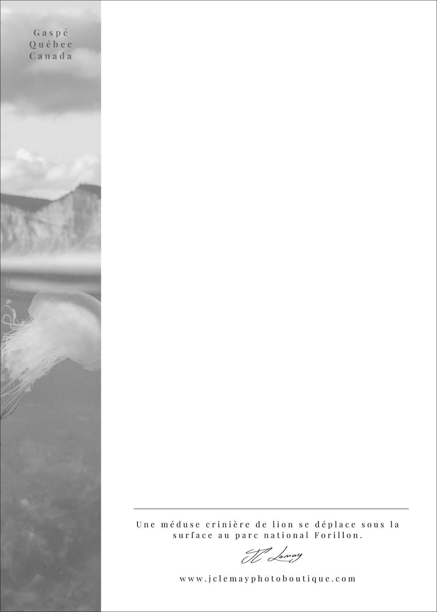 Méduse X Cap - carte postale