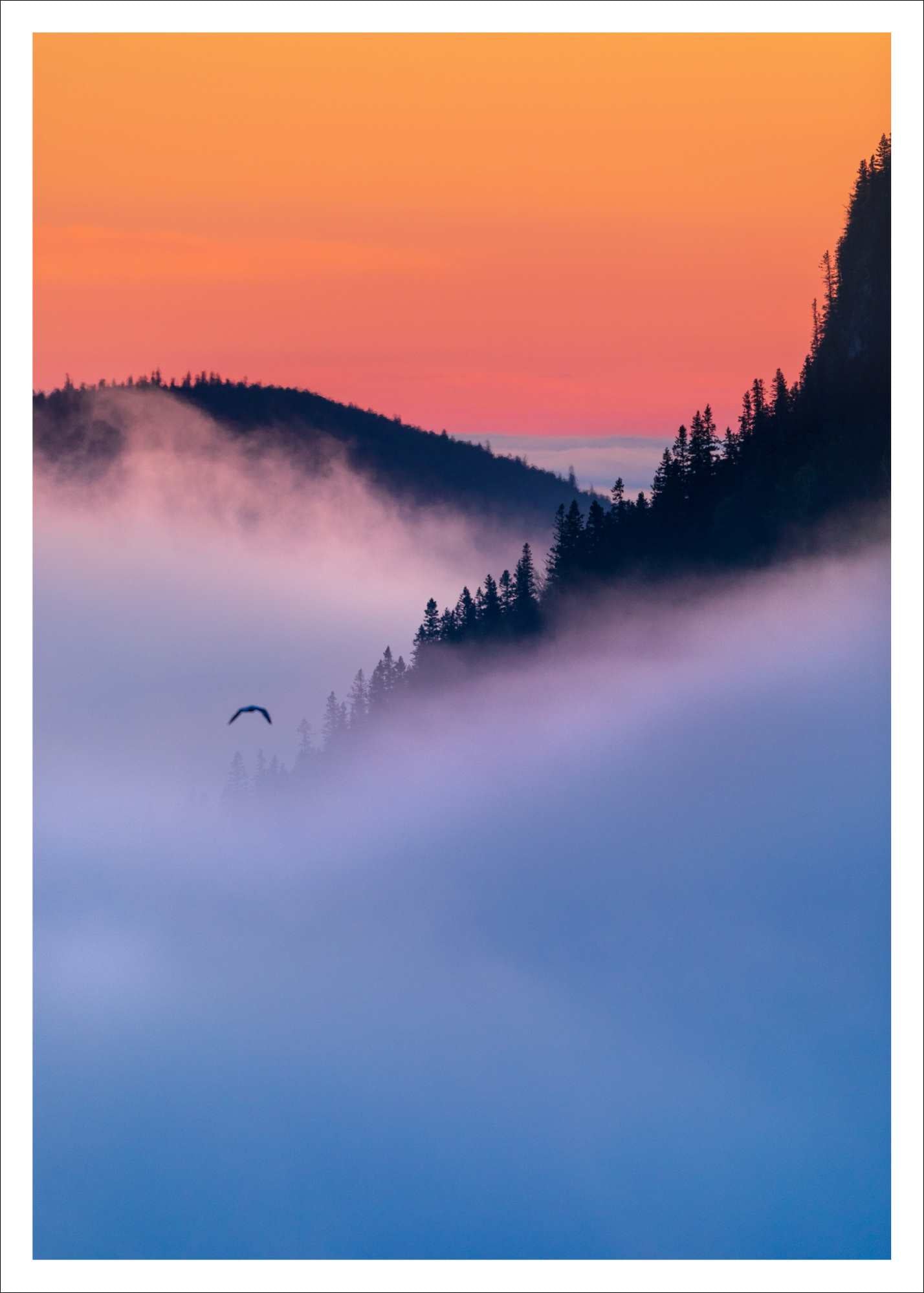 Foggy Bic - carte postale