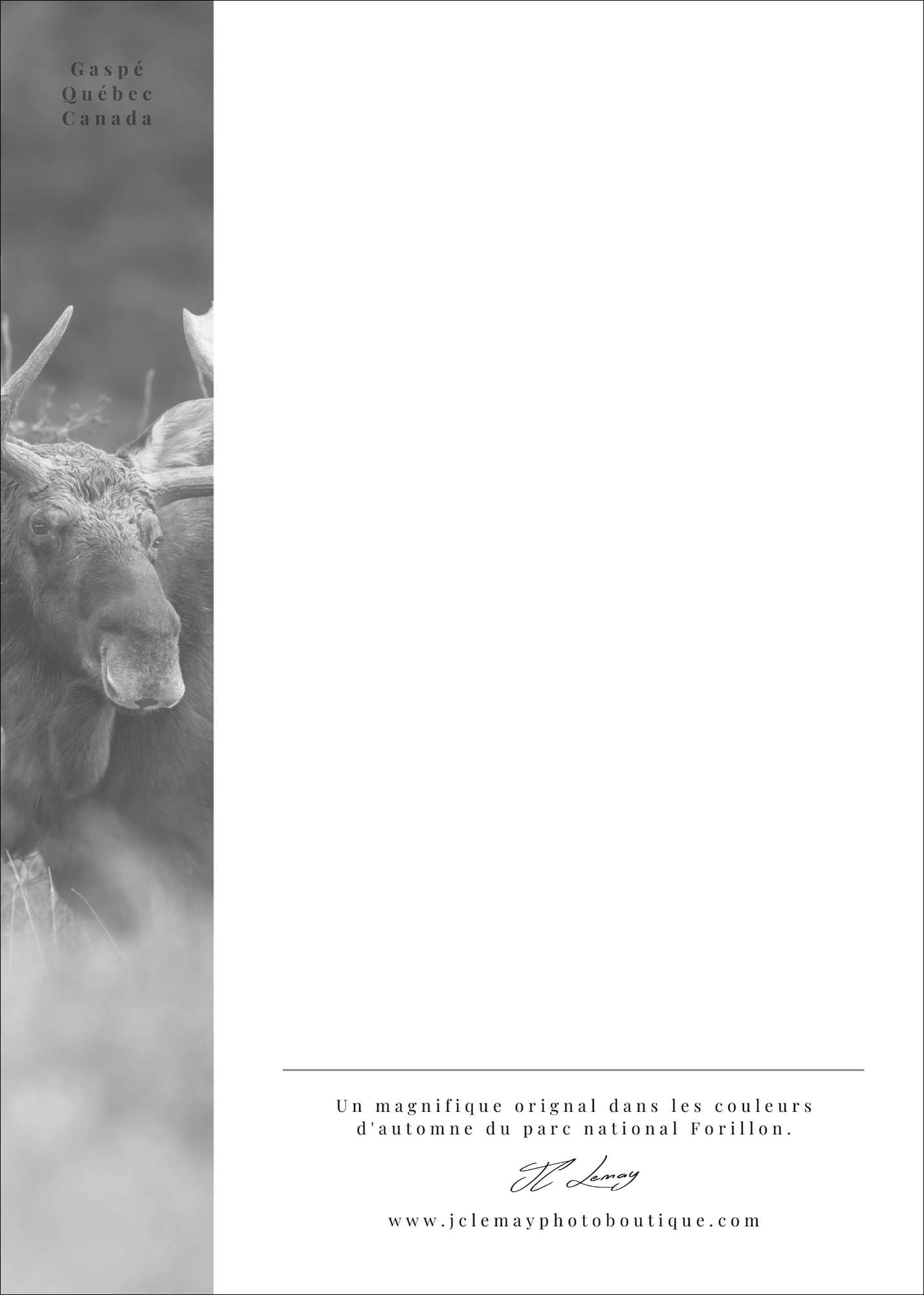 Orignal - carte postale