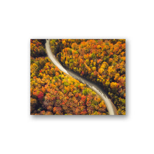 Fall road