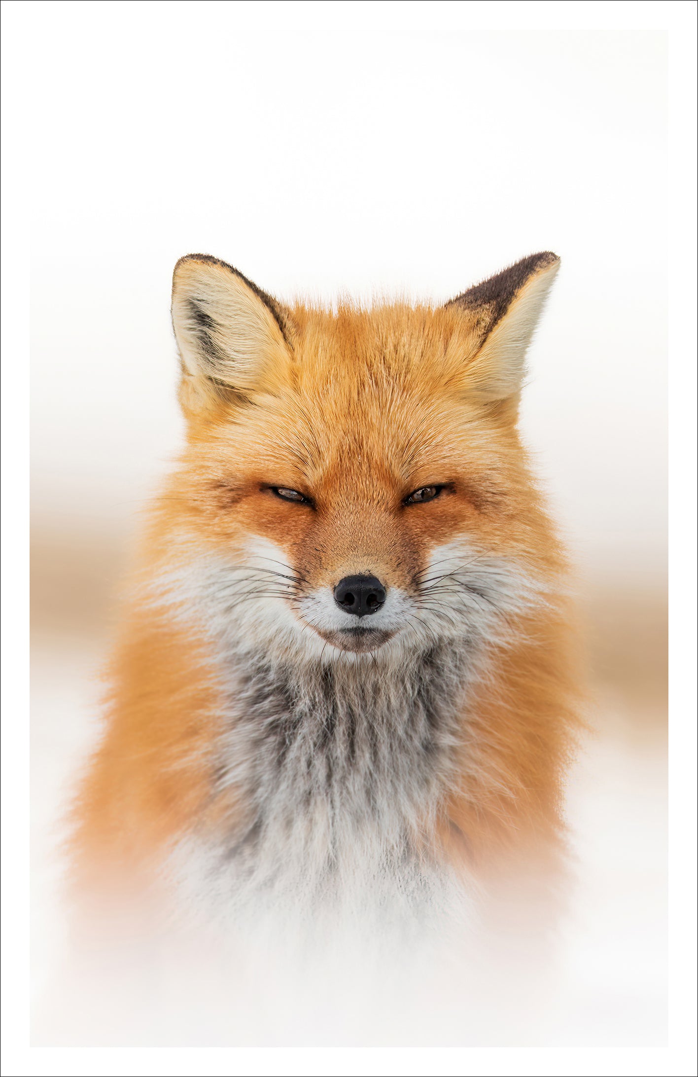 Bienveillance - Carte de souhaits