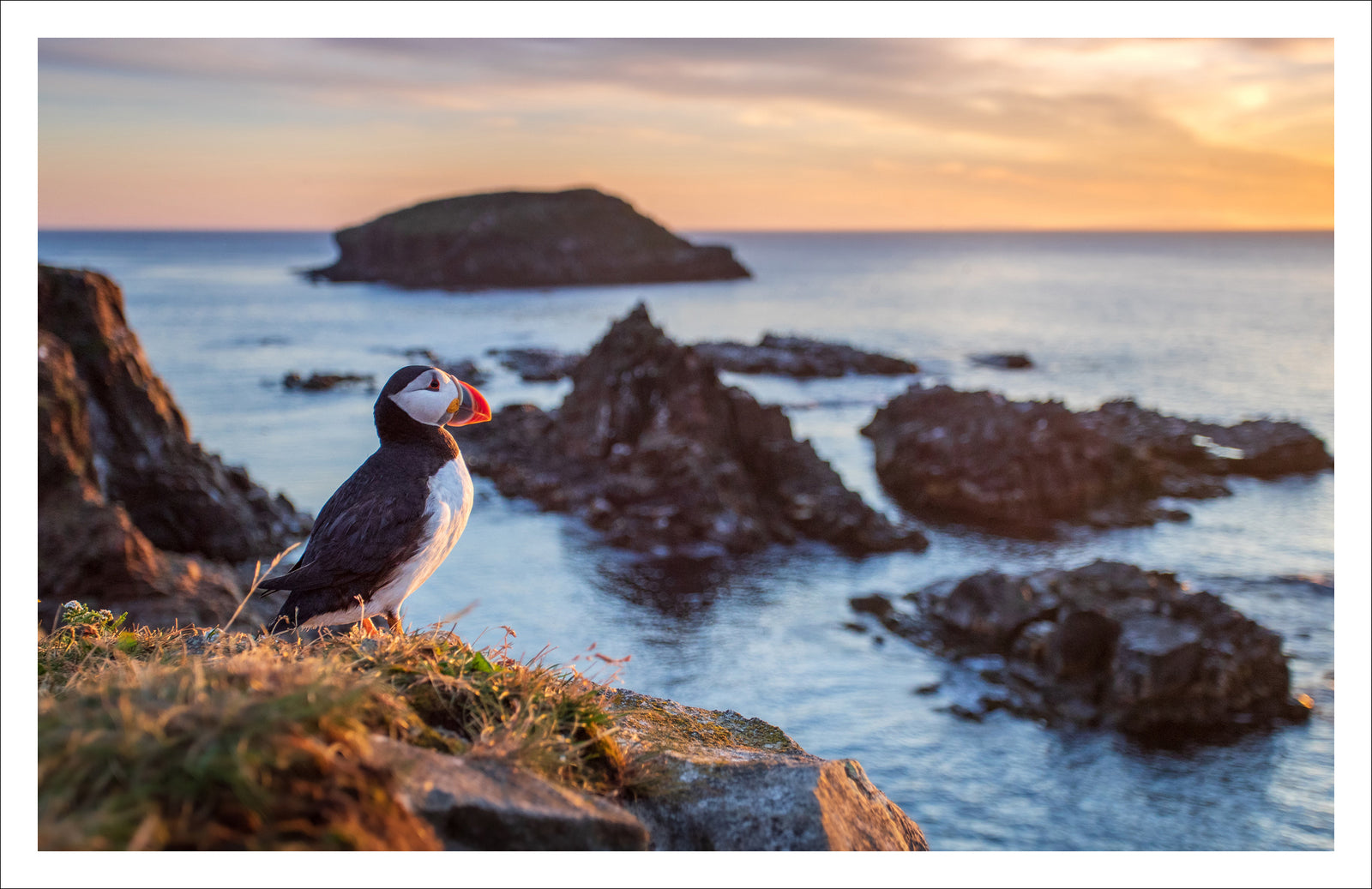 The view - Carte de souhaits