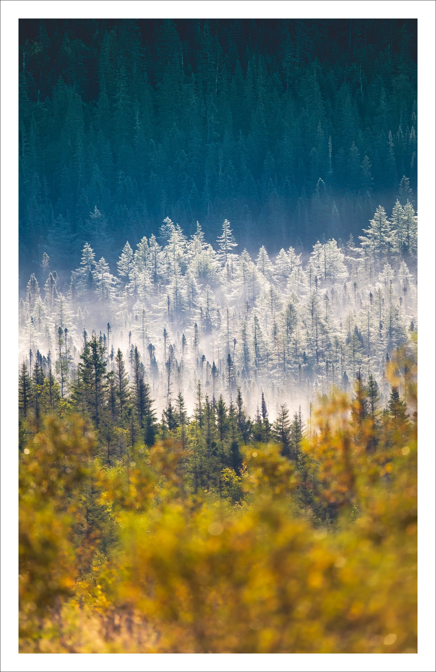 Saisons - Carte de souhaits