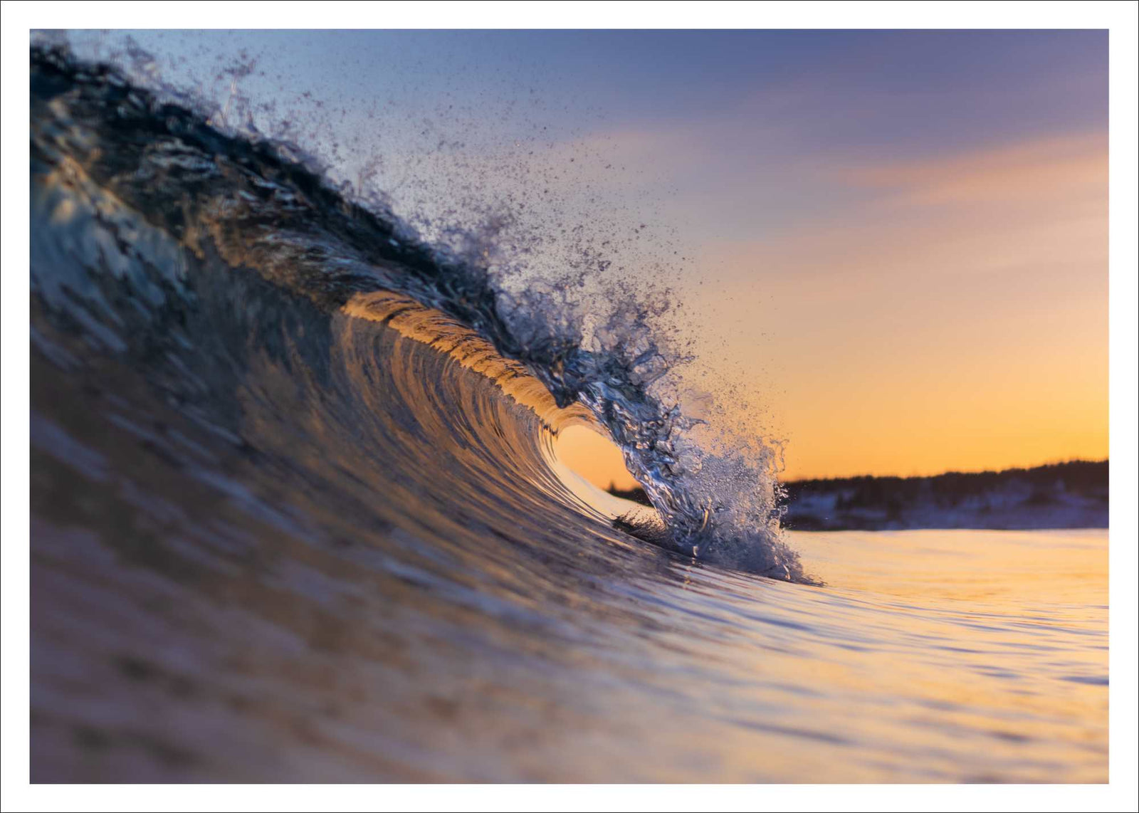 Golden wave - carte postale