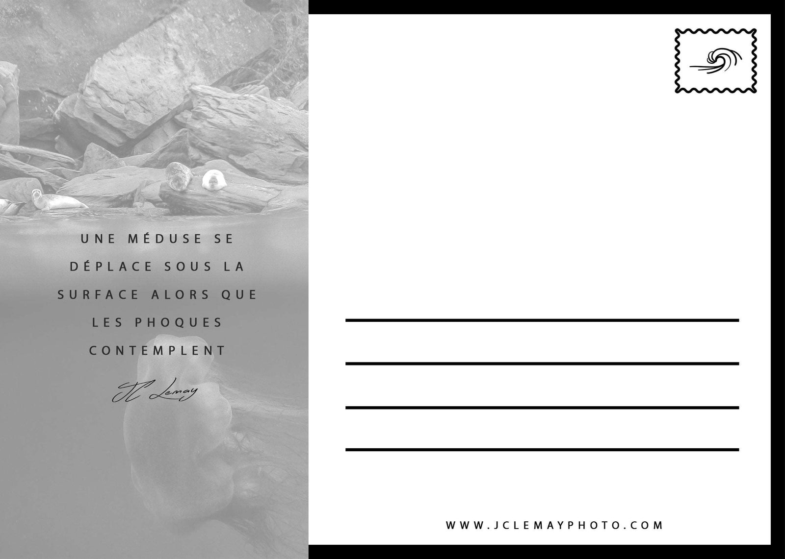 Carte postale d'une méduse et des phoques en Gaspésie, par Jc Lemay Photo