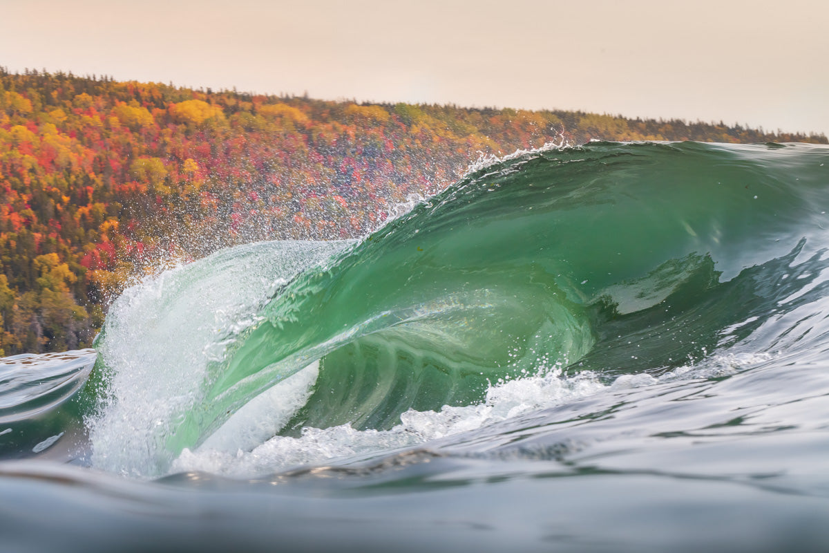Fall wave