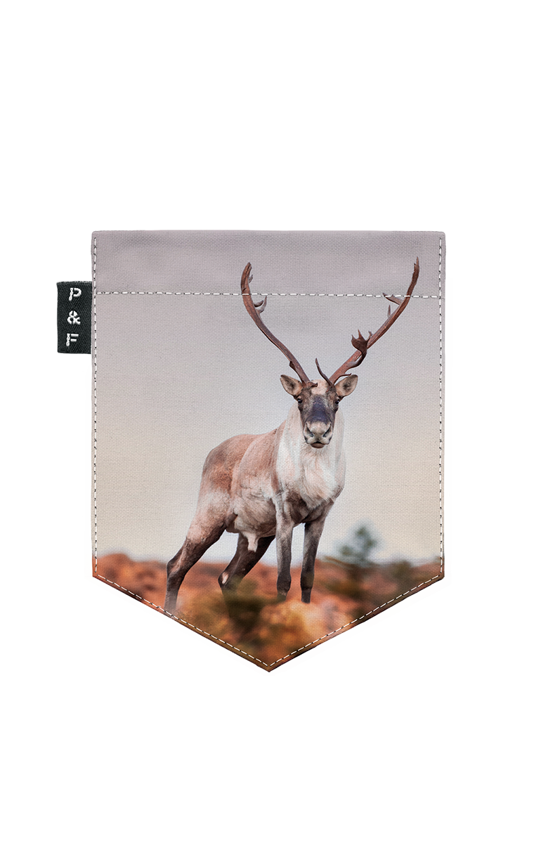 T-Shirt - Vintsinçenne