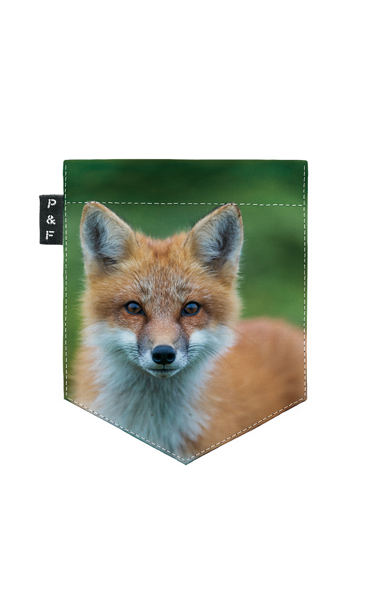 T-Shirt (8-12 ans) - Rouzé comme un renard