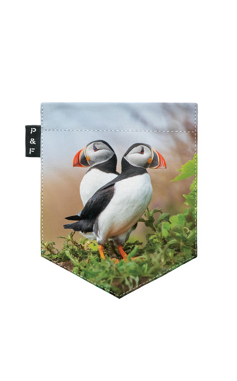 T-Shirt (8-12 ans) - Hey Macareux-na