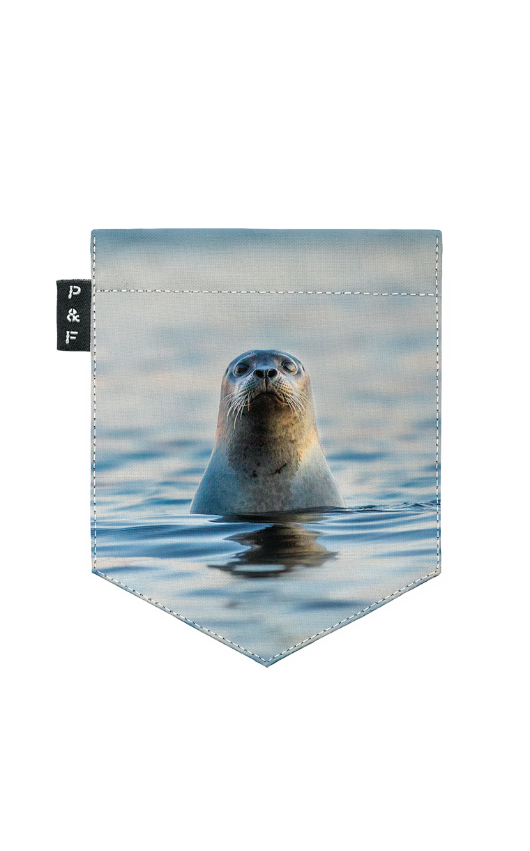 T-Shirt col en V semi-ajusté - Phoquaccia