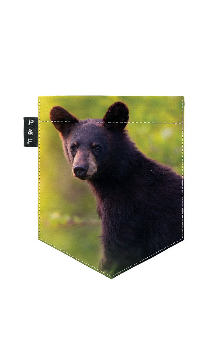 T-Shirt - La moyenne ours