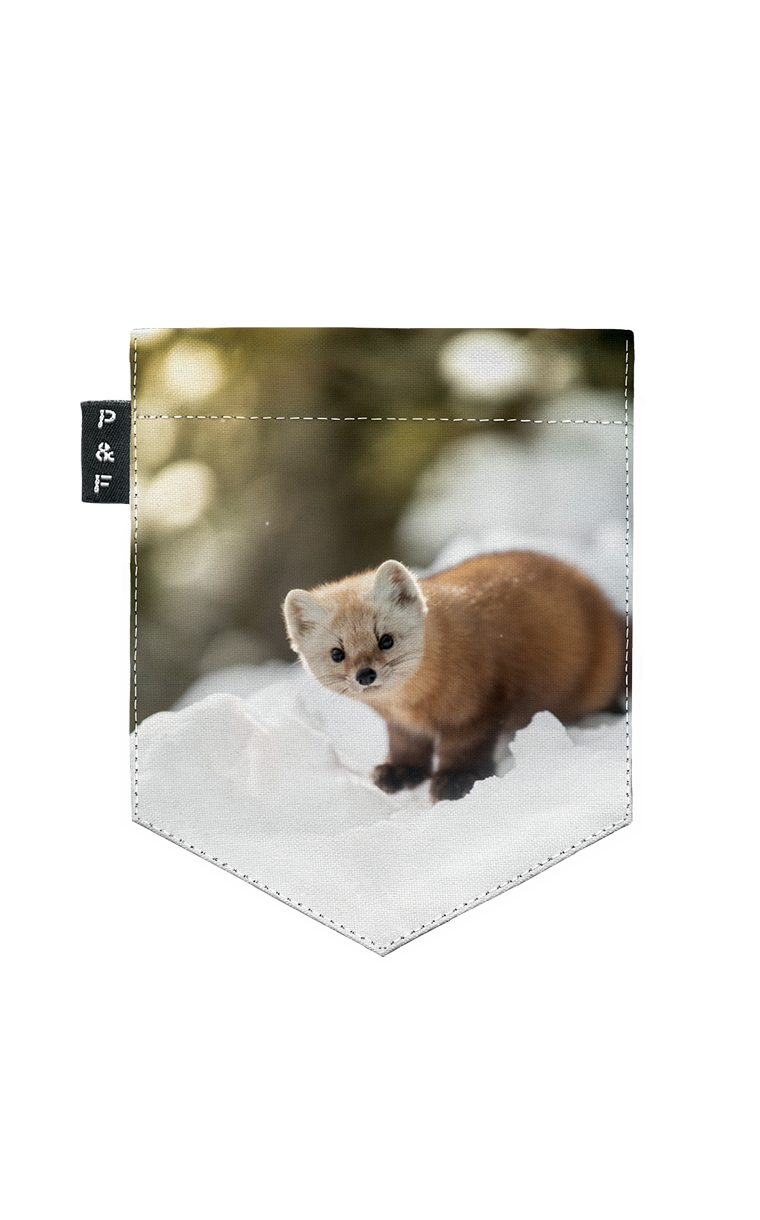 T-Shirt col en V semi-ajusté - Martre Labrèche