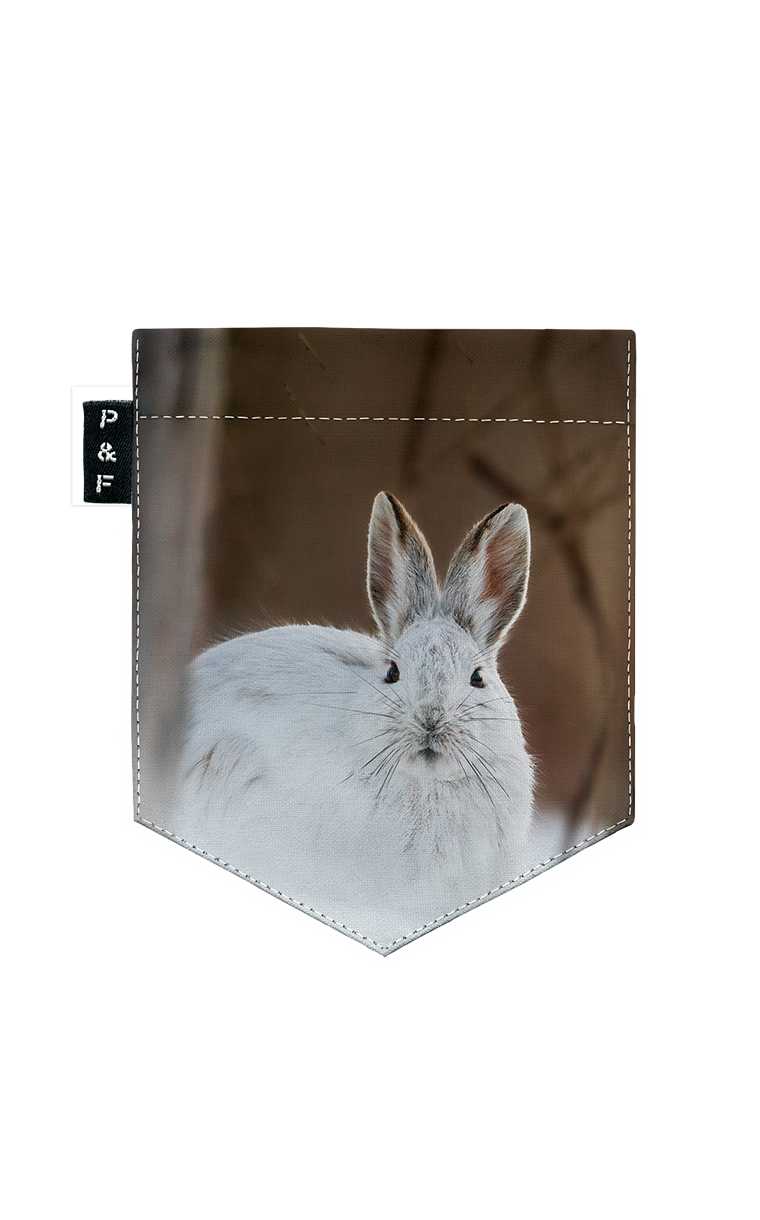 T-Shirt - Lièvre Gercé